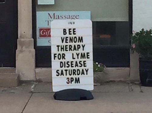 Bee venom therapy for Lyme disease Saturday 3pm