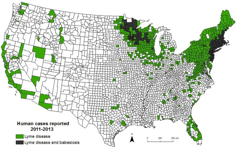 Borrelia hermsii: not a known co-infection of Lyme or other tick-borne ...