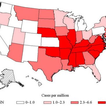 Does Chronic Rocky Mountain Spotted Fever Exist?