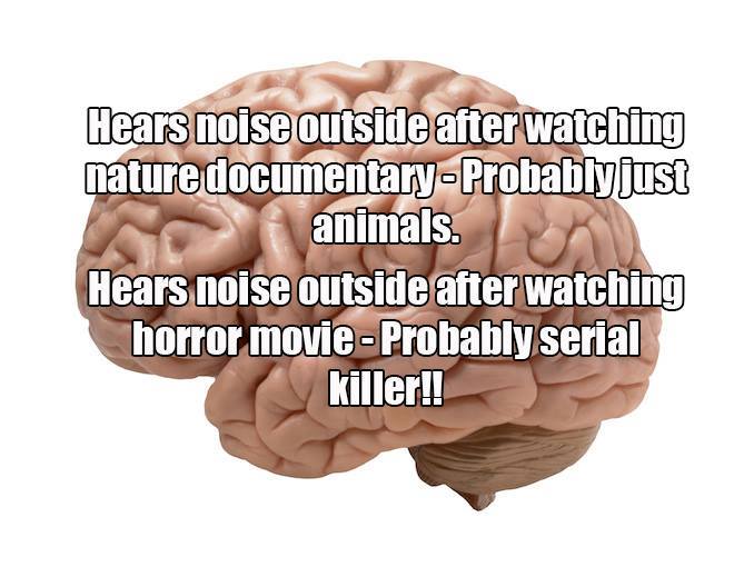 Hears noise outside after watching nature documentary—Probably just animals. Hears noise outside after watching horror movie—Probably serial killer!