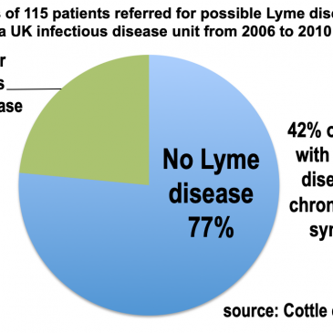 How chronic Lyme recruits followers