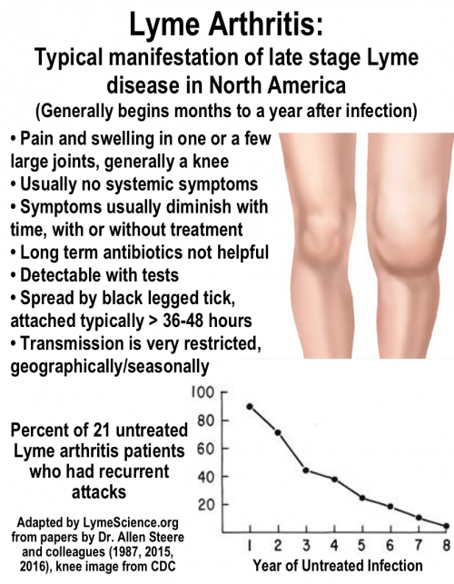 Lyme arthritis: typical manifestation of Lyme disease in North America