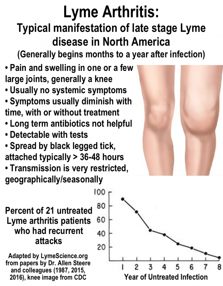 The Harms Of Unnecessary “Lyme Anxiety”